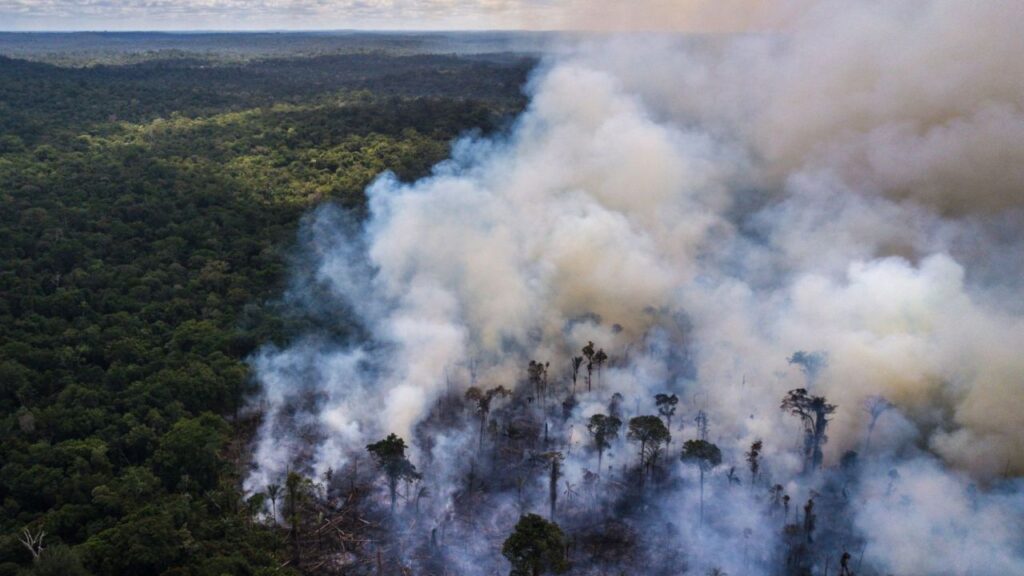 Cumbre por el futuro de la selva amazónica