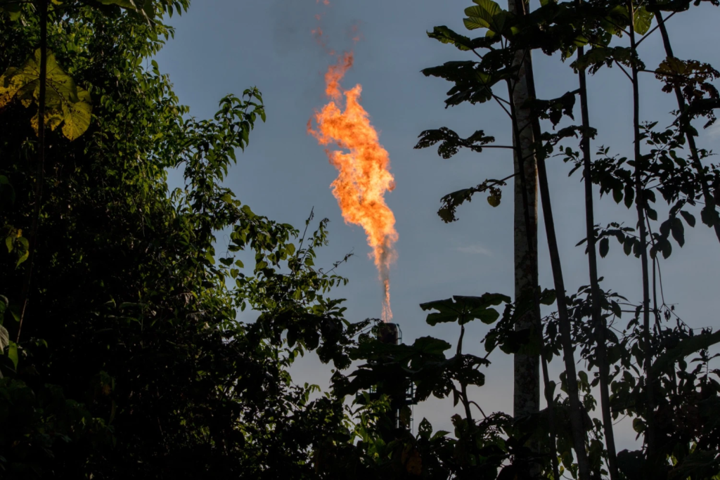 Agenda sobre el fin de la explotación petrolera estará fuera del acuerdo en la Cumbre de la Amazonía